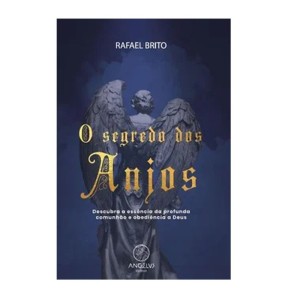 LI116532 - O Segredo dos Anjos - 21x14cm