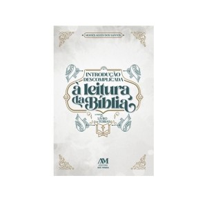 LI116760 - Introdução descomplicada á leitura da Bíblia - 21x13,5cm